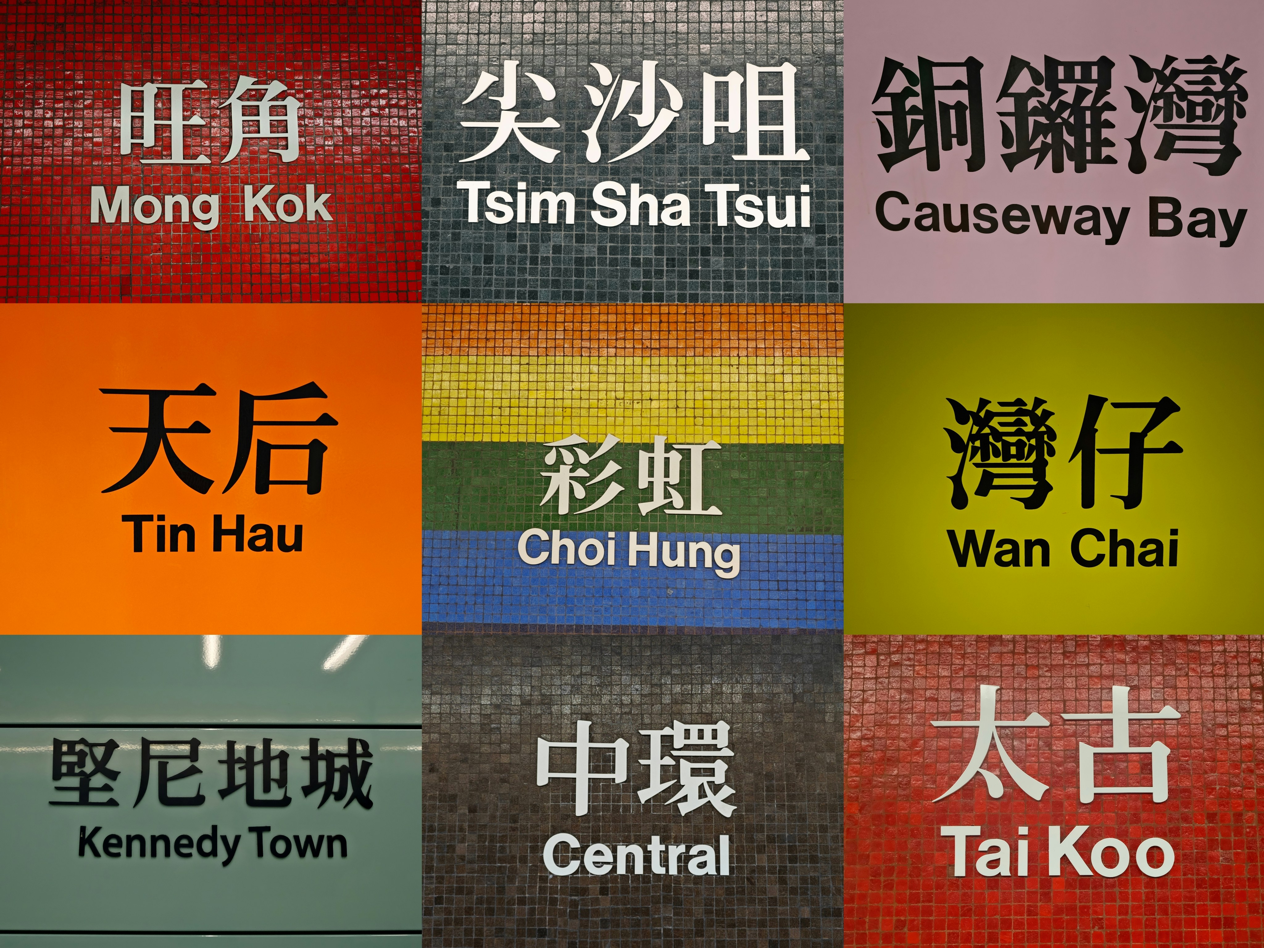 International students exploring Chinese culture and language immersion in China