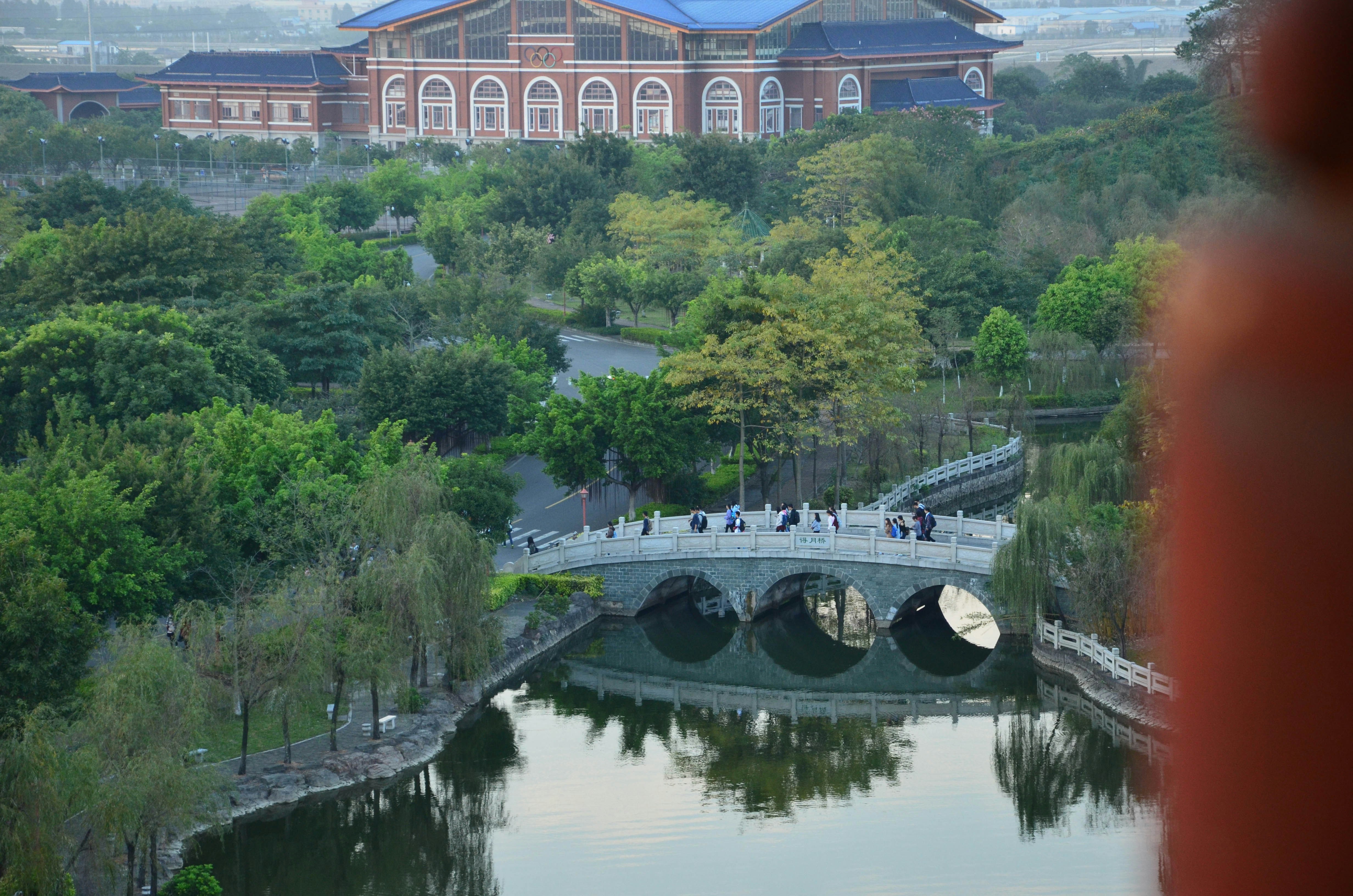 Scholarships in China for International Students 2026: Complete Guide to CSC, Provincial, and University Funding