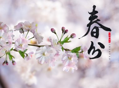 Chunfen 春分