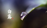 Bailu 白露