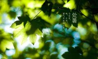 Chushu 处暑