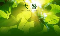 Dashu 大暑