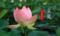 Lixia 立夏