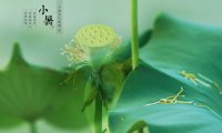 Xiaoshu 小暑