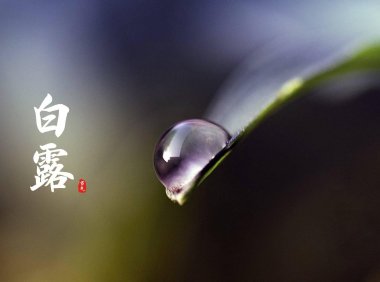 Bailu 白露