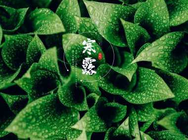 Hanlu 寒露