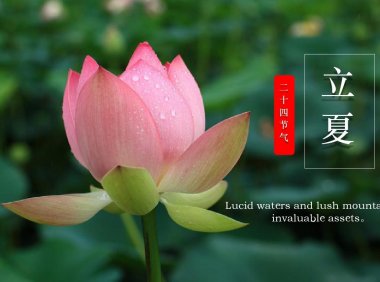 Lixia 立夏