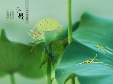 Xiaoshu 小暑