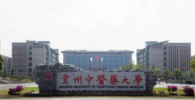 2026 Guizhou Medical University graduate Student enrollment brochure 2026年贵州医科大学留学研究生招生简章