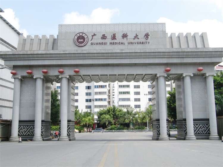 2026 Guangxi Medical University undergraduate enrollment Prospectus 2026年广西医科大学本科生招生简章