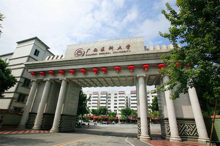 2026 Guangxi Medical University Guangxi Government Scholarship for Students from ASEAN countries Enrollment Brochure 2026年广西医科大学广西政府东盟国家留学生奖学金招生简章