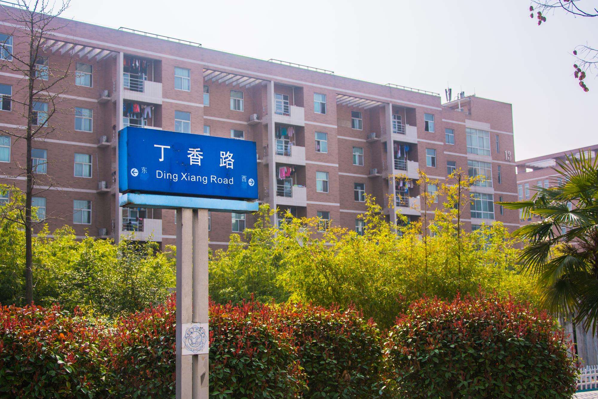Xidian University西安电子科技大学 WentChina - Your Ultimate Guide to Studying in China Campus view