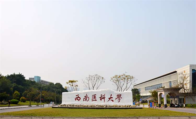 2024 Southwest Medical University ADMISSION FOR UNDERGRADUATE CLINICAL MEDICINE (M.B.B.S.) PROGRAM WentChina - Your Ultimate Guide to Studying in China Southwest Medical University
