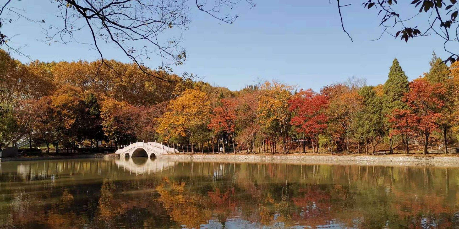 Nanjing University of Science and Technology南京理工大学 WentChina - Your Ultimate Guide to Studying in China Campus view