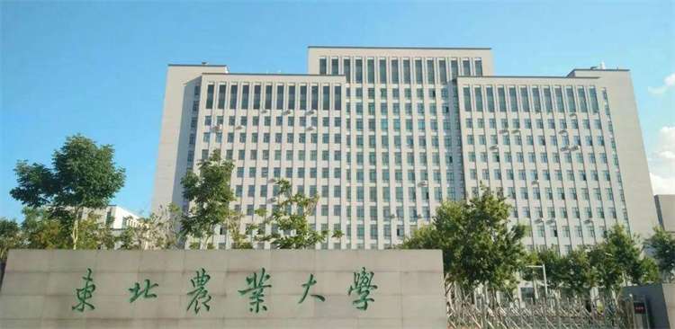 2026 Northeast Agricultural University International Student Enrollment brochure 2026年东北农业大学来华留学生招生简章