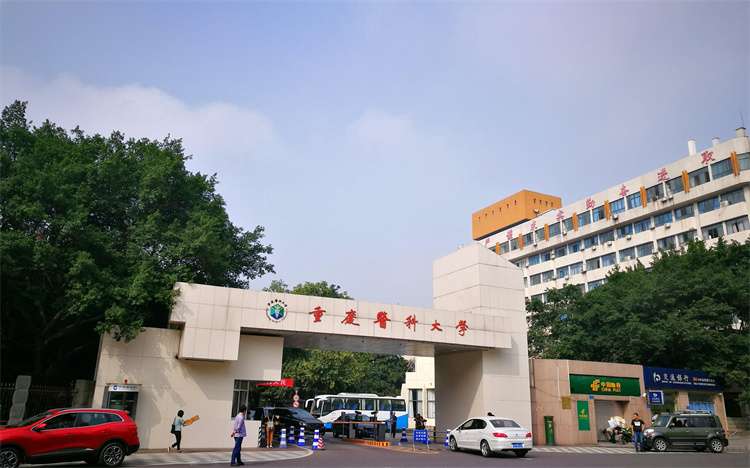 2026 Chongqing Medical University graduate Student enrollment in China 2026年重庆医科大学来华留学研究生招生简章