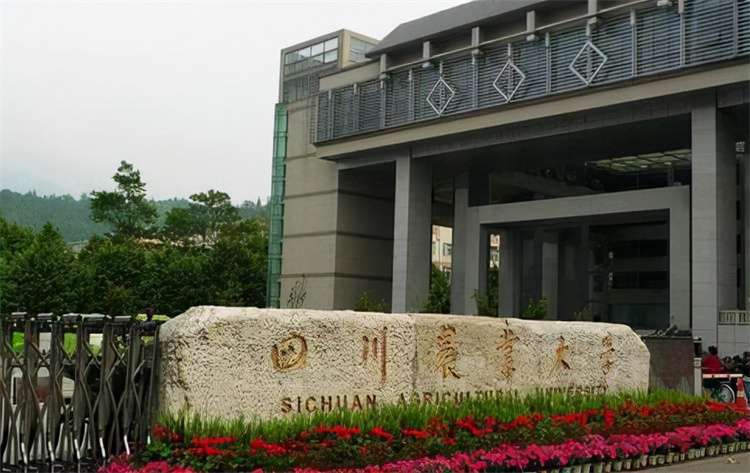 2026 Sichuan Normal University Enrollment of non-degree Language training course for international students of School of International Education 2026年四川师范大学国际教育学院留学生非学历语言进修课程招生简章(中英文版)