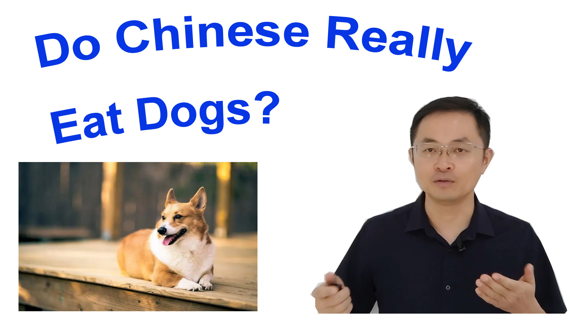 Do Chinese Really Eat Dogs?