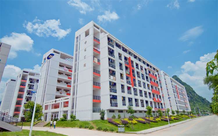 2024 Hechi University International Student Program Enrollment brochure WentChina - Your Ultimate Guide to Studying in China 2024 Hechi University International Student Program Enrollment brochure