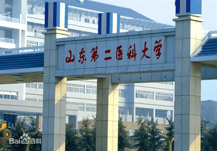 2024 Shandong Second Medical University International Postgraduate Program