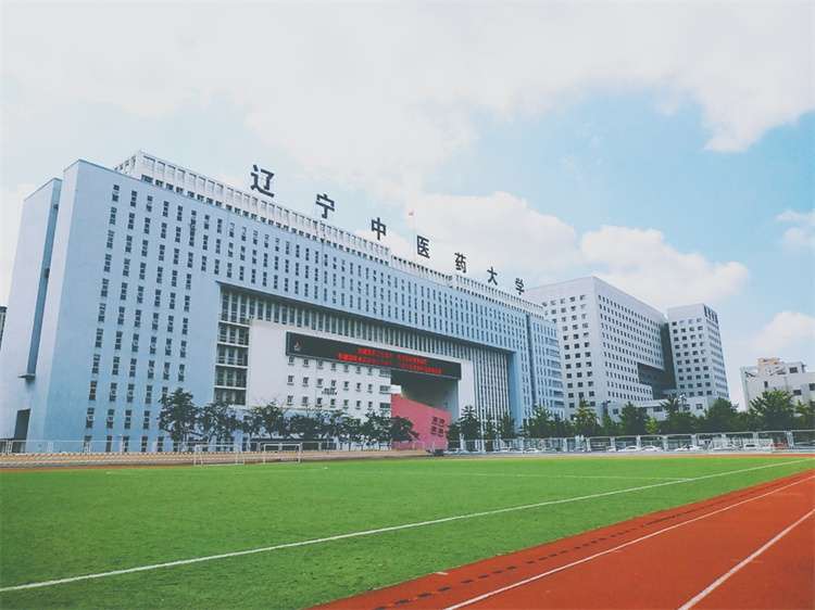 2024 Liaoning University Of Traditional Chinese Medicine Admissions Brochure for Self-funded Undergraduate International Students Self-funded Undergraduate Program WentChina - Your Ultimate Guide to Studying in China 2024 Liaoning University Of Traditional Chinese Medicine Admissions Brochure for Self-funded Undergraduate International Students Self-funded Undergraduate Program