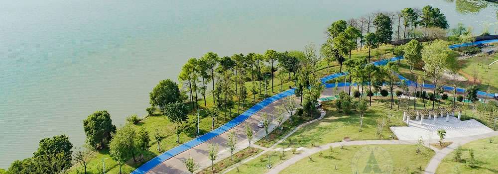 2024 ZUEL Admission Guide for International Students WentChina - Your Ultimate Guide to Studying in China ZUEL Admission Guide