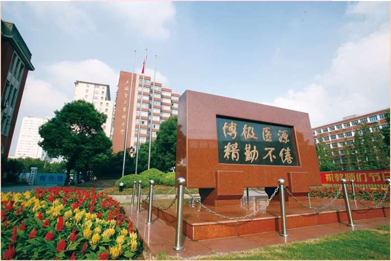 2024 Shanghai Jiao Tong University School of Medicine International Students Graduate Program Enrollment Prospectus 2024年上海交通大学医学院国际学生研究生项目招生简章 WentChina - Your Ultimate Guide to Studying in China 2024 Shanghai Jiao Tong University School of Medicine International Students Graduate Program Enrollment Prospectus 2024年上海交通大学医学院国际学生研究生项目招生简章
