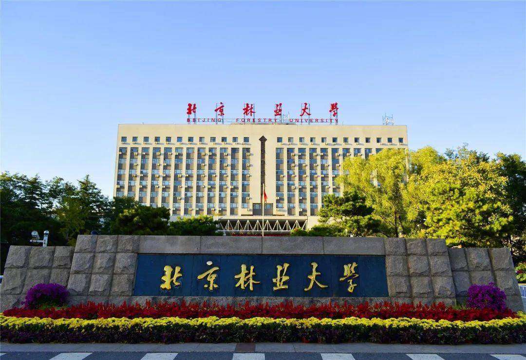2024 Recruitment notice for English teachers at the School of Foreign Languages, Beijing Forestry University 北京林业大学外语学院2024年外籍教师招聘 WentChina - Your Ultimate Guide to Studying in China 2024 Recruitment notice for English teachers at the School of Foreign Languages, Beijing Forestry University 北京林业大学外语学院2024年外籍教师招聘