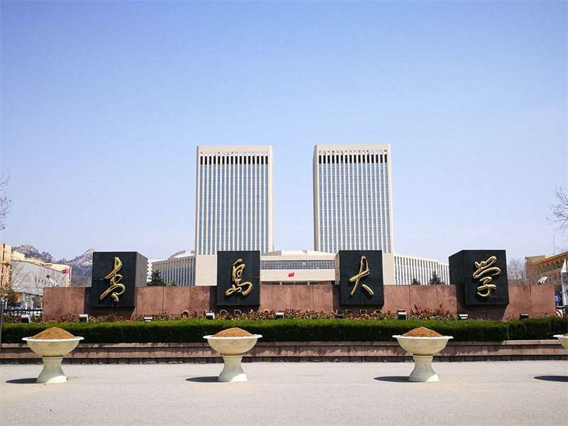 2019 Qingdao University Bachelor of Software Engineering for International Students WentChina - Your Ultimate Guide to Studying in China 2019 Qingdao University Bachelor of Software Engineering for International Students
