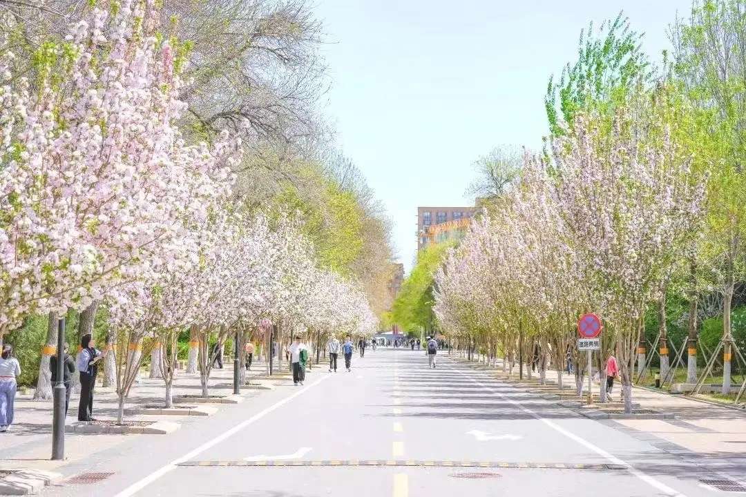 2024 Recruitment notice for English teachers at the School of Foreign Languages, Beijing Forestry University 北京林业大学外语学院2024年外籍教师招聘 WentChina - Your Ultimate Guide to Studying in China 2024 Recruitment notice for English teachers at the School of Foreign Languages, Beijing Forestry University 北京林业大学外语学院2024年外籍教师招聘
