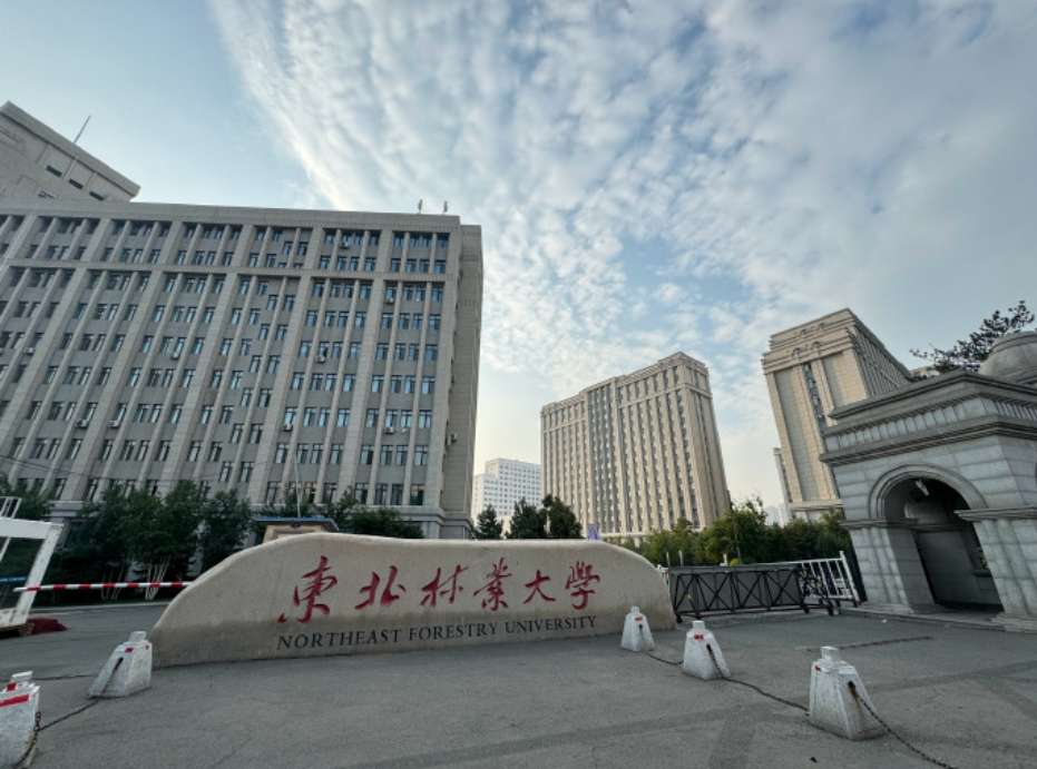 Northeast Forestry University Admission Guide WentChina - Your Ultimate Guide to Studying in China Northeast Forestry University Admission Guide