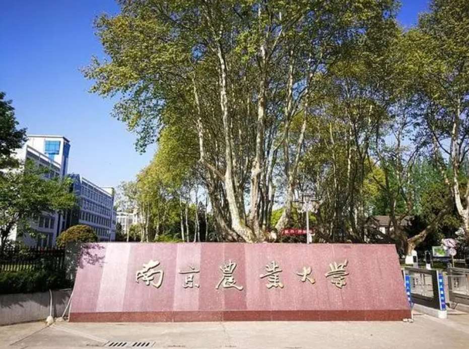 Latest Admission Guide of Nanjing Agricultural University 2024 WentChina - Your Ultimate Guide to Studying in China Latest Admission Guide of Nanjing Agricultural University 2024