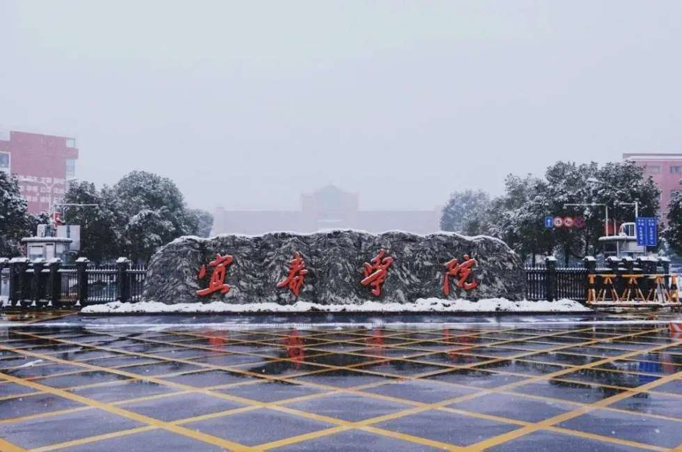 Application Brochure for International Students of Yichun University