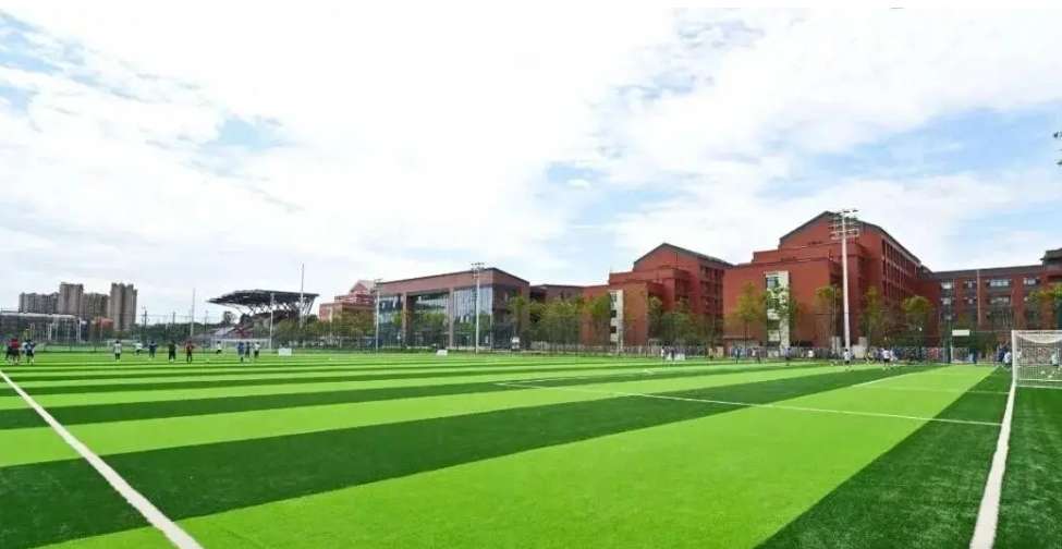 STUDY IN CHENGDU SPORT UNIVERSITY WentChina - Your Ultimate Guide to Studying in China Chengdu Sport University