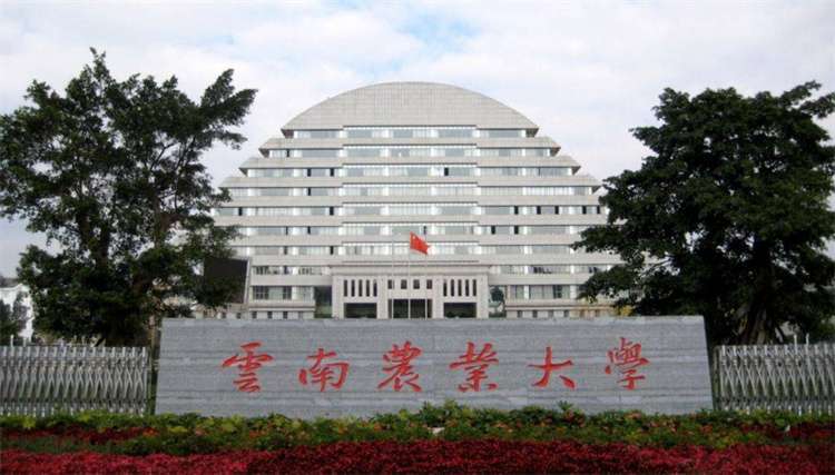 2024/2025 Yunnan Agricultural University Academic Year Foreign Student Scholarship Enrollment Brochure 2024/2025学年度云南农业大学外国留学生奖学金招生简章 WentChina - Your Ultimate Guide to Studying in China Yunnan Agricultural University
