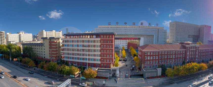 Admissions Brochure for Undergraduate International Students at Liaoning University of Traditional Chinese Medicine 2026 WentChina - Your Ultimate Guide to Studying in China Liaoning University of Traditional Chinese Medicine