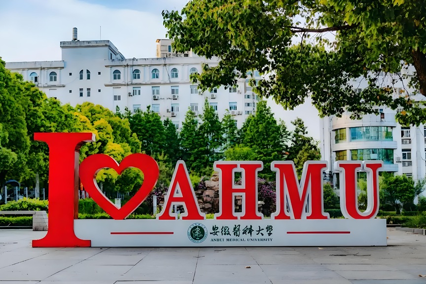 Unlock Your Global Medical Career: A Comprehensive Guide to Anhui Medical University 2026