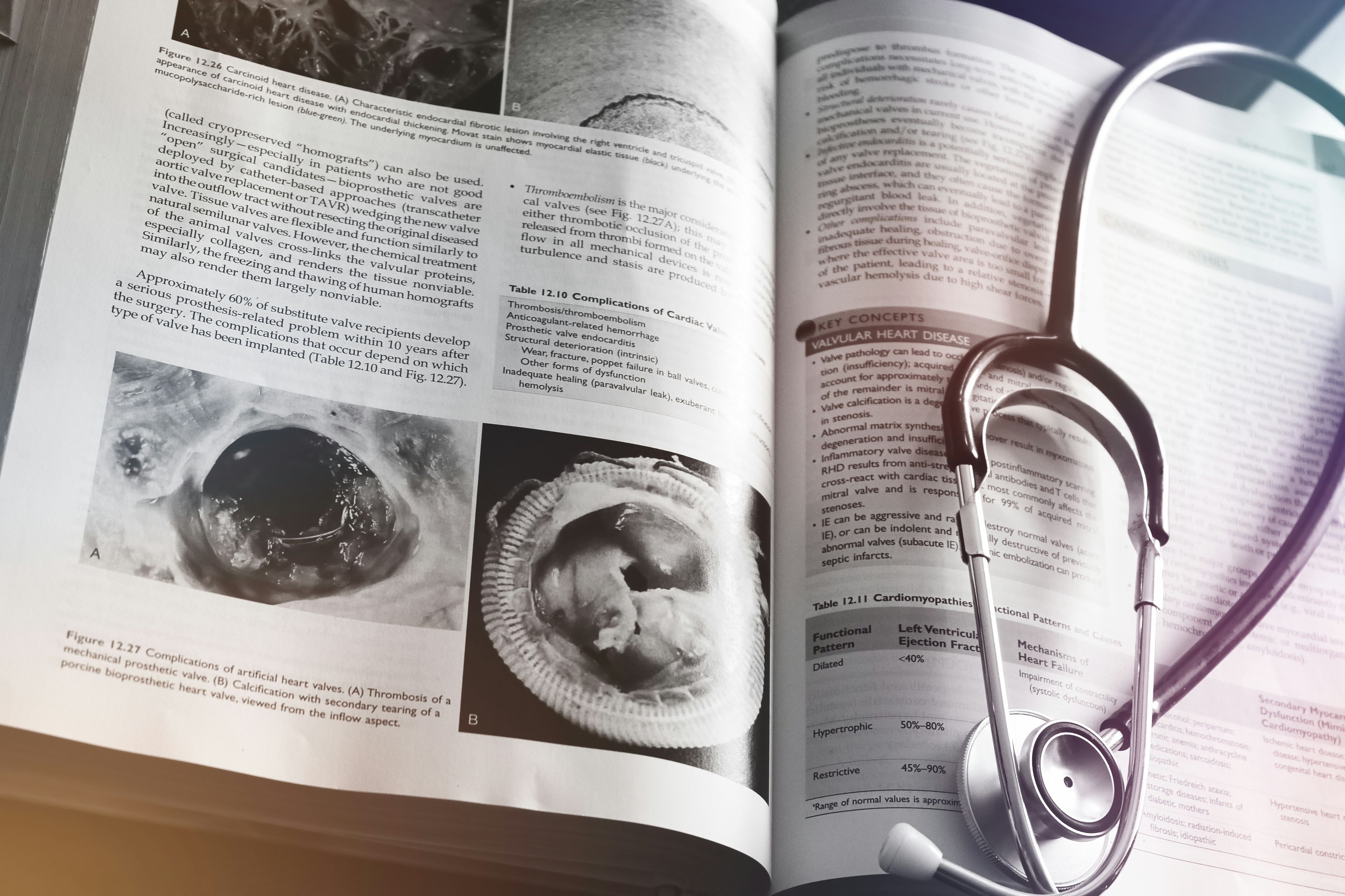 MBBS in China 2026: Application Timeline, Scholarship Options, and Step-by-Step Admission Guide for International Students WentChina - Your Ultimate Guide to Studying in China MBBS in China 2026: Application Timeline, Scholarship Options, and Step-by-Step Admission Guide for International Students